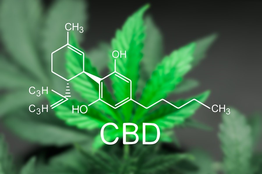 How has CBD oil changed the healing process?